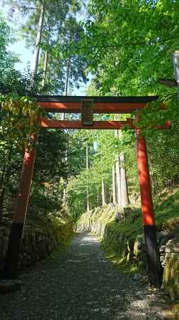 勝手神社 鳥居