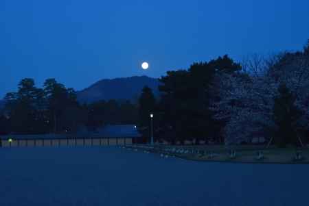 御所のお月見