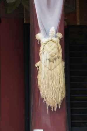 八坂神社のカメ