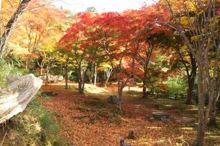 笠置もみじ公園－１