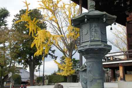 金戒光明寺（黒谷さん）の紅葉ー３