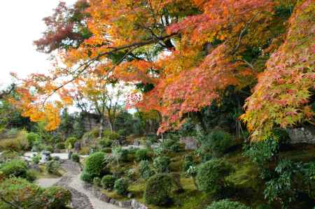 金戒光明寺（黒谷さん）の紅葉ー１０