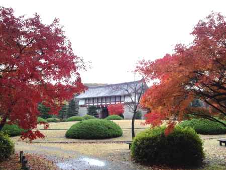 伏見桃山城ー１