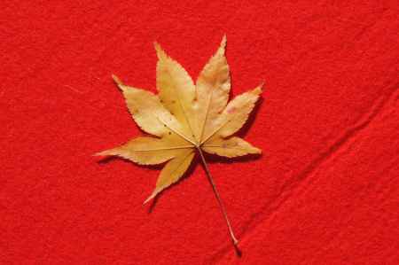 大河内山荘ー４