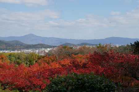 大河内山荘ー５