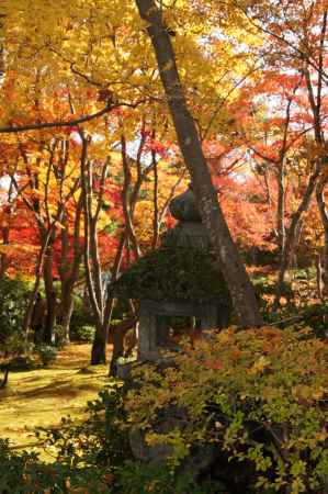 大河内山荘－１０