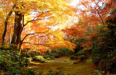 大河内山荘ー１１