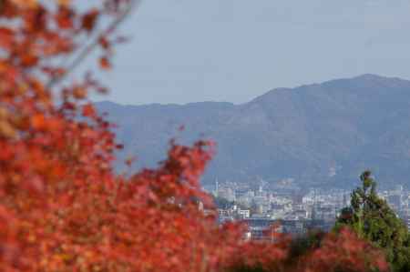 大河内山荘－１４