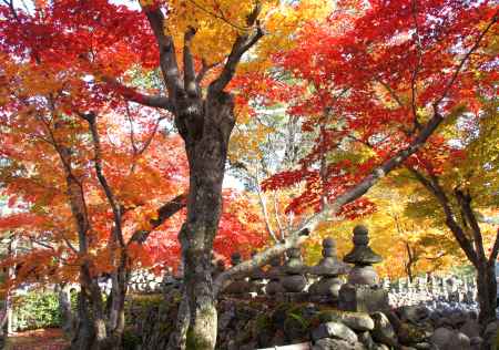 化野念仏寺－１２