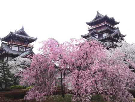 伏見桃山城ー３