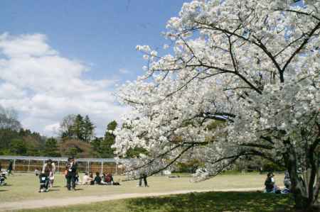 京都府立植物園ー２