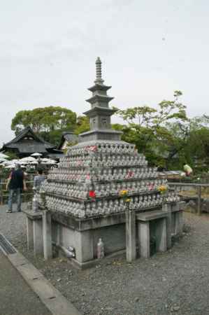 乙訓寺の牡丹ー１０