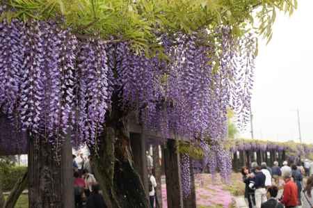 鳥羽水環境保全センターー１