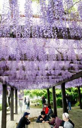 鳥羽水環境保全センターー8