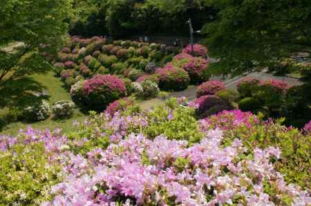 蹴上浄水場ー４