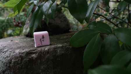 寿々むしのお菓子