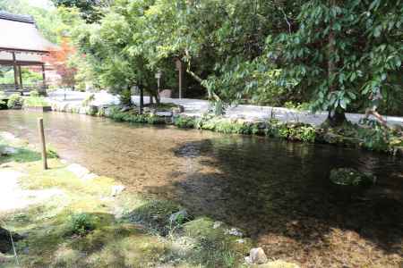 上賀茂神社 ならの小川①