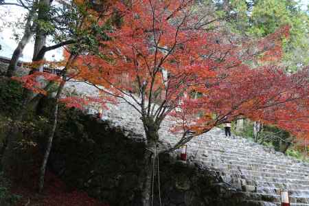神護寺 金堂下石段