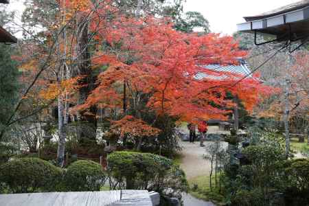 西明寺 境内紅葉②