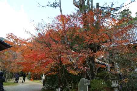 西明寺 境内紅葉②