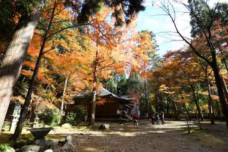 高山寺 境内