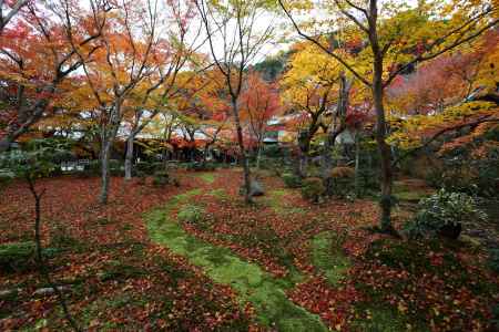 圓光寺 十牛之庭