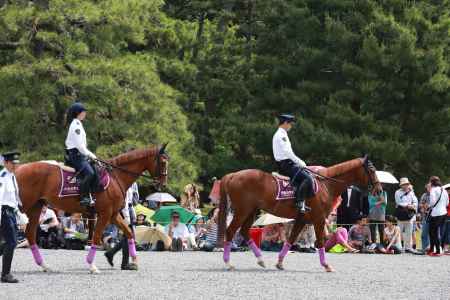 2015 葵祭すべて①