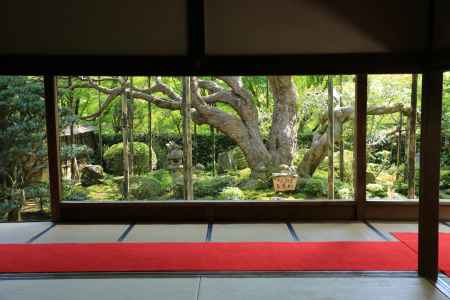 大原 宝泉院 額縁庭園