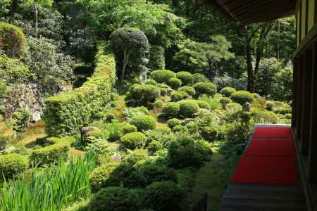 三千院の緋毛氈