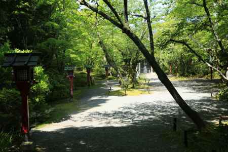 琳派400年鷹ヶ峰散策 常照寺6