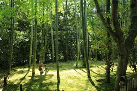 琳派400年鷹ヶ峰散策 常照寺7