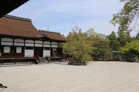 仁和寺 宸殿の南庭