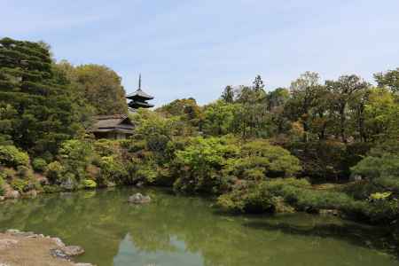 仁和寺 宸殿の北庭