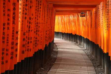伏見稲荷大社 千本鳥居
