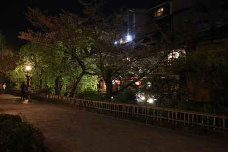 祇園白川　夜の佇まい4