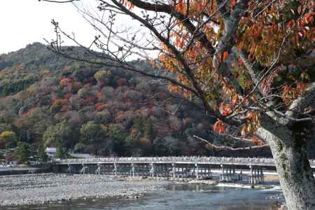 渡月橋と嵐山 1