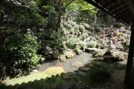 楊谷寺(柳谷観音)  浄土苑4