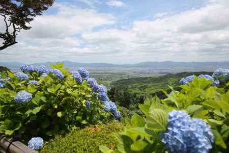 善峯寺　紫陽花からの眺め