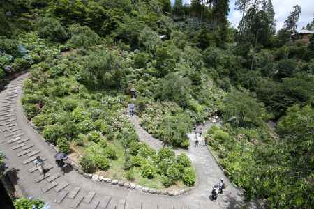 善峯寺　あじさい苑