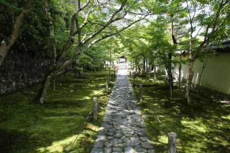 酬恩庵一休寺　方丈,庫裏への道
