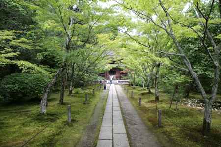 酬恩庵一休寺　本堂への参道