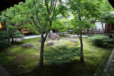 建仁寺　初夏の庭