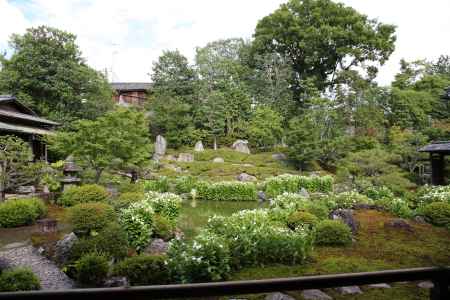 両足院　半夏生の庭
