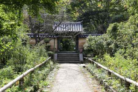 浄瑠璃寺 参道