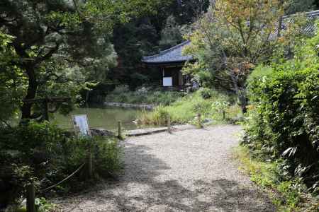 浄瑠璃寺 境内