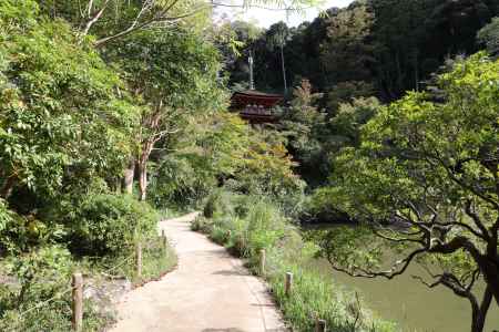 浄瑠璃寺 境内2