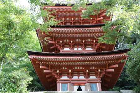 浄瑠璃寺 三重塔 2