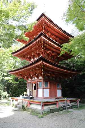 浄瑠璃寺 三重塔 4