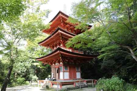 浄瑠璃寺 三重塔5