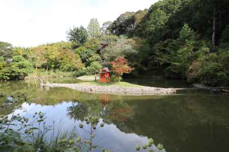 浄瑠璃寺 苑池の中島